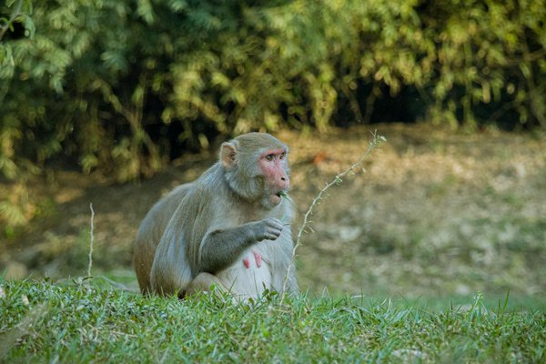Installation d'équipements thermiques : ce que disent les clients